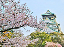 【直播】时间：JDG除了无畏之外，其他人真没有对抗的，包括中野
